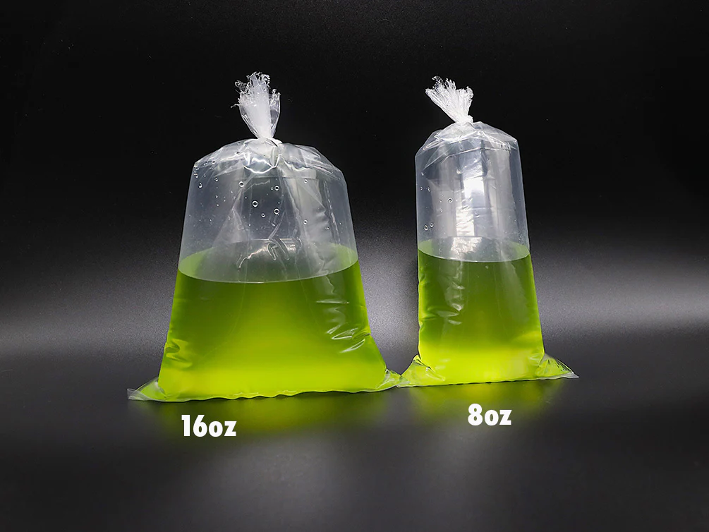 Green Water Phytoplankton – Live Freshwater Culture | Cultured by Aquatic Arts