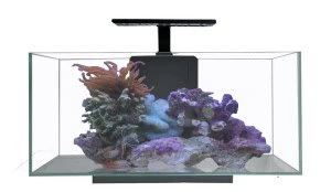 JBJ Aquarium - Desktop 10 Gallon Flat Panel with Lyra 10 Watt LED